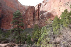 Rocky-cliffs-and-mountains-Utah-2018-6