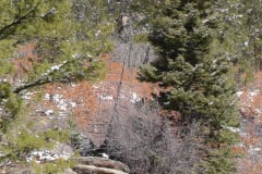 Mt-Rushmore-Broadmoor-Trip-2020-171