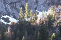Yosemite-Cliff-for-Painting-2017