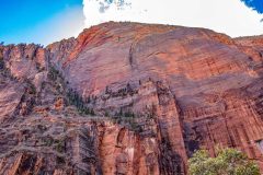 Zions-National-Park-Cliffs
