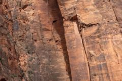 Zions-National-Park-Mountains-and-Cliffs-3