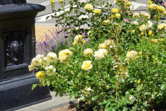 20190524_145908