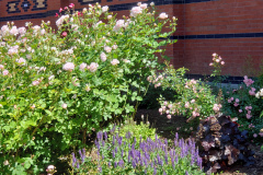20190524_145947