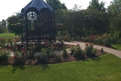 Roses-Minnetrista-May-2023-44