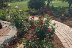 Roses-Minnetrista-May-2023-53