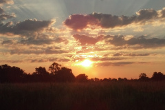 Sunrise-Clouds-2012-7