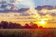 Sunrise-in-Muncie-3
