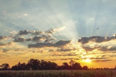 Sunrise-in-Muncie-4