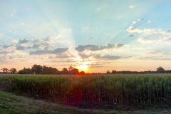 Sunrise-in-Muncie-panorama