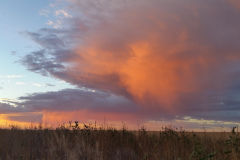 Sunset-Dramatic-clouds-over-field-1
