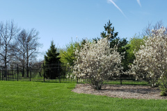1_Spring-Blossoms-and-Houses-April-2019-10