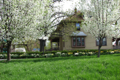 Spring-Blossoms-1-26