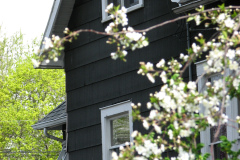 Spring-Blossoms-3-171