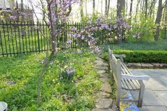 Spring-Blossoms-Bushes-28
