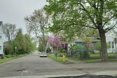 Spring-Blossoms-Misc-2-103