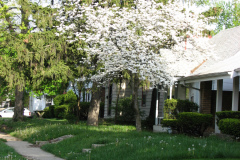 Spring-Blossoms-Misc-2-119