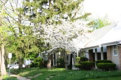 Spring-Blossoms-Misc-2-120
