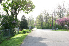 Spring-Blossoms-Misc-2-135