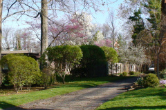 Spring-Blossoms-Muncie-2-1