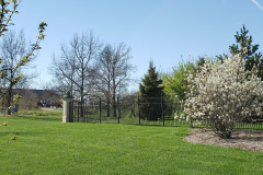 Spring-Blossoms-and-Houses-April-2019-11
