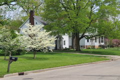 Spring-Trees-Blossoms-McCullough-Blvd-April-2023-13