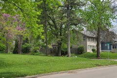 Spring-Trees-Blossoms-McCullough-Blvd-April-2023-35
