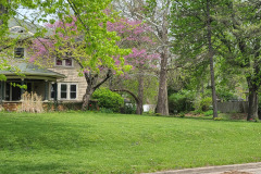 Spring-Trees-Blossoms-McCullough-Blvd-April-2023-36