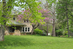 Spring-Trees-Blossoms-McCullough-Blvd-April-2023-38