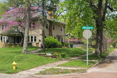 Spring-Trees-Blossoms-McCullough-Blvd-April-2023-47
