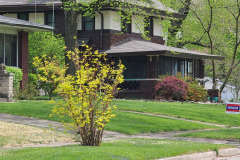 Spring-Trees-Blossoms-McCullough-Blvd-April-2023-52