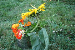 Sunflowers-and-Marigolds-13