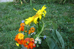 Sunflowers-and-Marigolds-14