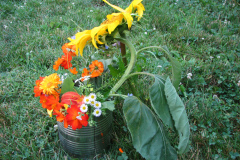 Sunflowers-and-Marigolds-22