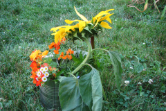 Sunflowers-and-Marigolds-27