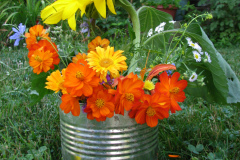 Sunflowers-and-Marigolds-41