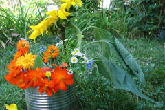 Sunflowers-and-Marigolds-43