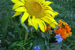 Sunflowers-and-Marigolds-8