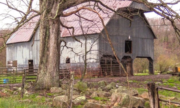 My 3 Day Plein Air Adventure (Part 1 – The Search)