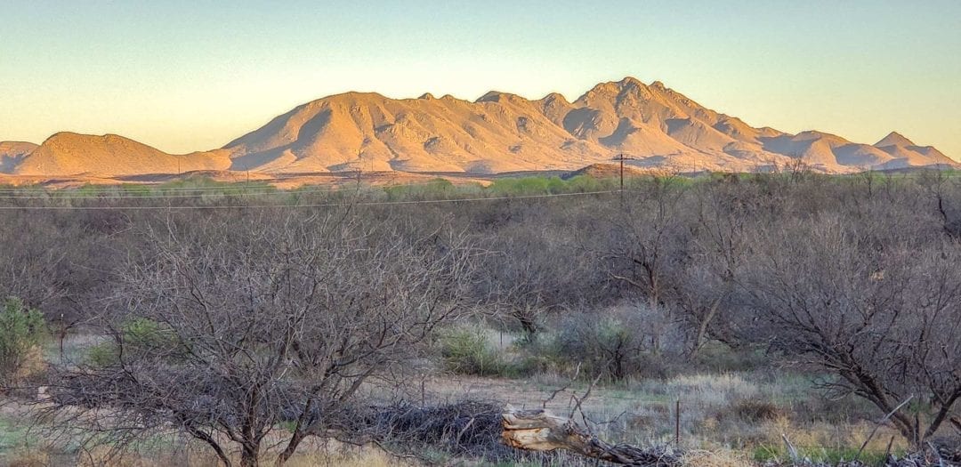 Tubac Art in a Southwest Painters Paradise Master Oil Painting