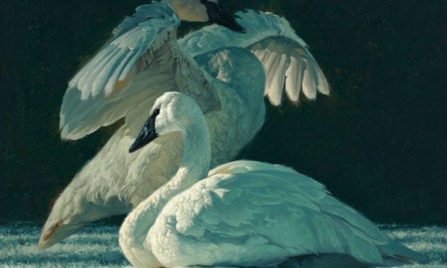 Highlights from the Prix de West pt. 1