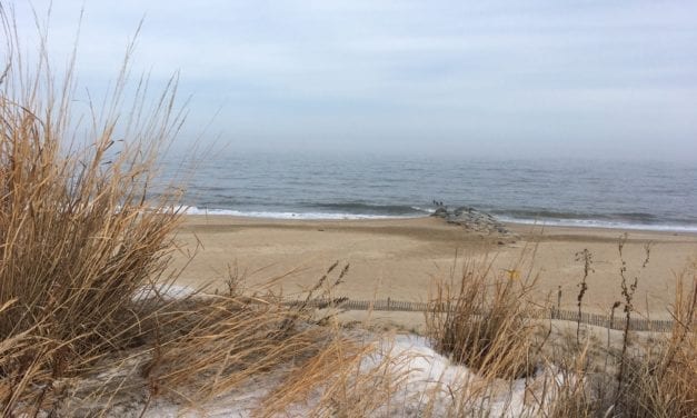 What a wonderful world!